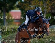 Sestini We Shall GioCav2013 S5 1401 : Campionati Italiani Giovani Cavalli, Cattolica, Sestini Danilo, We Shall, ph Stefano Secchi ©